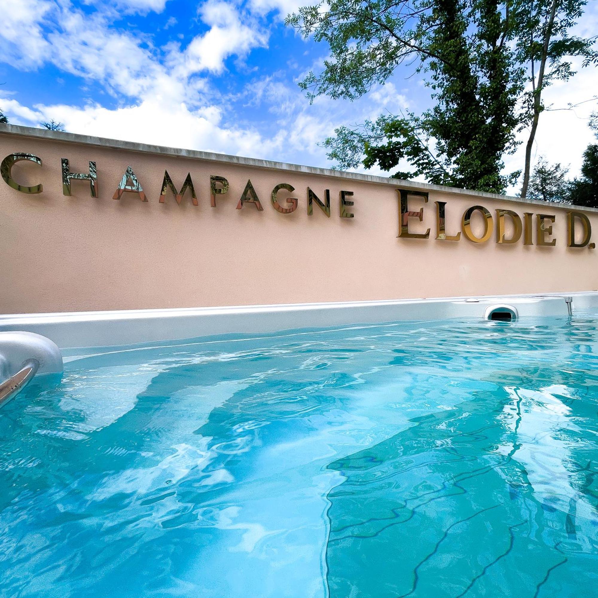 La Demeure D'Elodie Épernay Eksteriør bilde
